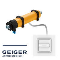 moteur GEIGER