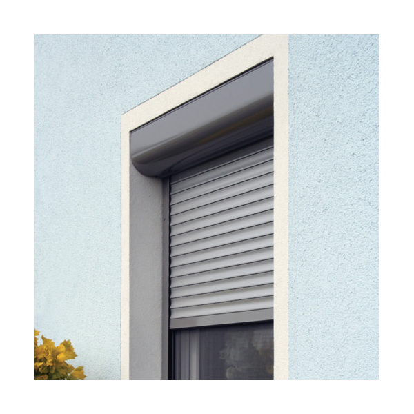 Roller shutter with mosquito net