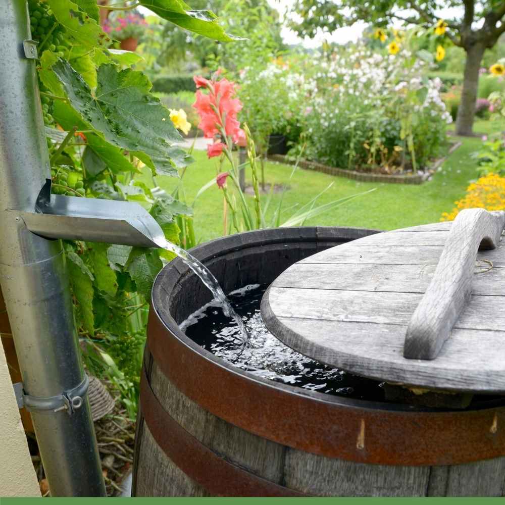 Raccogliere l'acqua piovana: come fare, i vari sistemi - Cose di Casa
