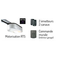 Vertikales Garagen-Sektionaltor mit Zugfeder - Sondermaß, Motorisierung: Motor SOMFY Optimo RTS - Schiene 3500 mm
