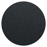 0404 - Noir sablé (AKZO 2200S)