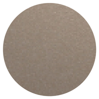 0767 - Gris sablé (AKZO 2500S)