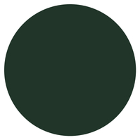 Vert sapin - RAL 6009