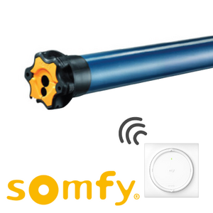 NOVEO renovatie rolluik, : Somfy RS100 radiomotor met Amy 1 IO zender [RSE]