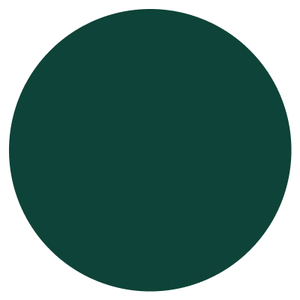 Vert mousse - RAL 6005