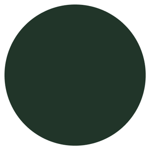 Vert sapin - RAL 6009