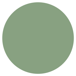 Vert pale - RAL 6021