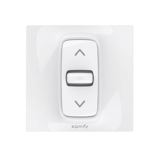 Inverseur Somfy Inis encastré position fixe 80x80 - 1800513