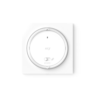 Commande Amy® 1 RS100 io avec cadre - SOMFY