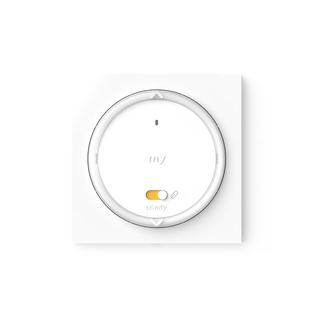 Commande Amy® 1 RS100 io avec cadre - SOMFY