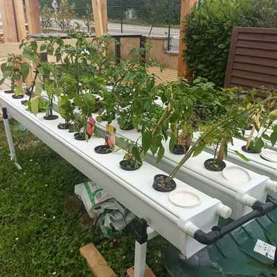 GrowStream® 40 - 40 plants