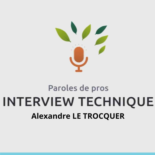 interview-alexandre-le-trocquer-directeur-france-brinks-cs