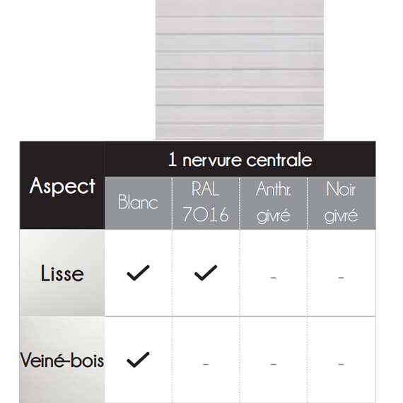 aspects-coloris-nervure-centrale