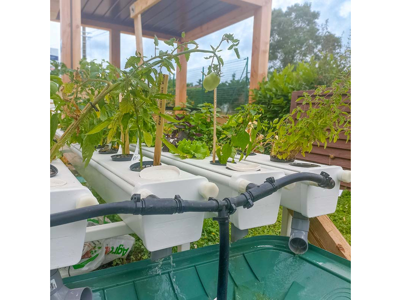 GrowStream® 40 - 40 plants