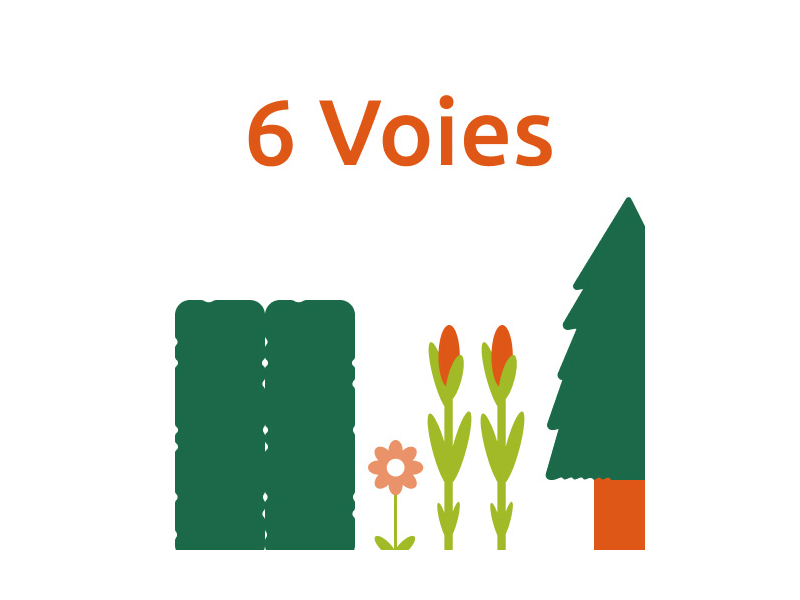 6 zones d'arrosage